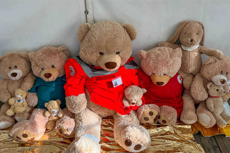 Große und kleine Teddybären, teilweise mit Rotkreuz-Jacken.