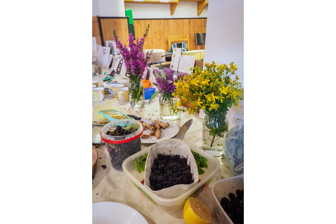 Tisch mit Pflanzen und Beeren